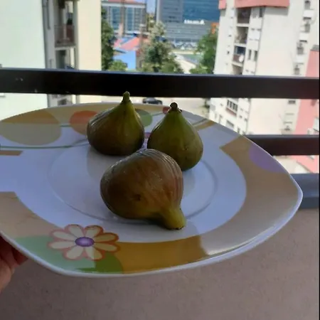 Studio Apartman 